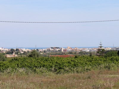 Pedreguer 2019