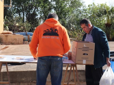 Pedreguer 2019